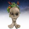 product 2429