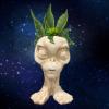 product 2420